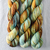 Lost Treasure - Miss Babs Putnam Merino wool and nylon sock yarn