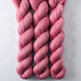 Macaroons - Miss Babs Yowza Mini superwash Merino wool yarn