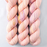Maize Valley - Miss Babs Tarte wool blend sock yarn