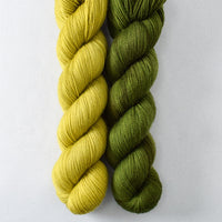 Makrut Lime, Terrapin Station - Miss Babs 2-Ply Duo