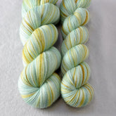 Mantis Partial Skeins - Katahdin - Babette