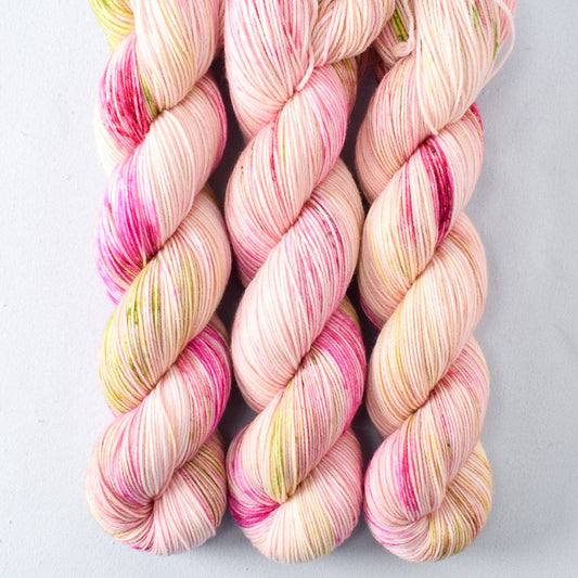 Mellow Apricot - Miss Babs Putnam yarn