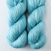 Meteors - Miss Babs Yowza superwash Merino wool yarn