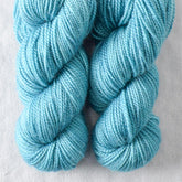 Mindful - Miss Babs Yummy 2-Ply Toes superwash Merino wool yarn