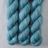 Monsoon - Miss Babs Putnam Merino wool and nylon sock yarn