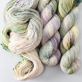 Morning Dream - Miss Babs Laurel Falls yarn