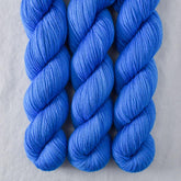 Moroccan Door - Miss Babs Putnam Merino wool and nylon sock yarn