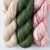 Mystery Gnome Set: Coastal Fog, Sempervirens, Apple Season - Miss Babs Toe Trio