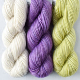 Mystery Gnome Trio: Snowdrift, Neige, Dewdrop - Miss Babs Toe Trio