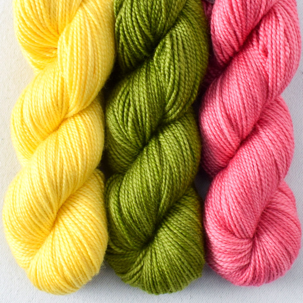 Mystery Gnome Trio: Sunny, Dragon Claw, Lotus - Miss Babs Toe Trio