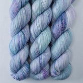 Officer of the Paw - Miss Babs Tarte wool blend sock yarn