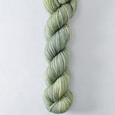 Owl Canyon - Miss Babs Yummy 2-Ply superwash Merino wool yarn