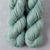 Palm Valley - Miss Babs Yummy 2-Ply Toes superwash Merino wool yarn