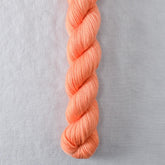 Penny Pitch - Miss Babs Yowza Mini superwash Merino wool yarn