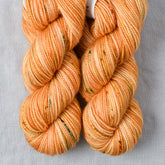 Perfect Idea - Miss Babs Yummy 2-Ply Toes superwash Merino wool yarn