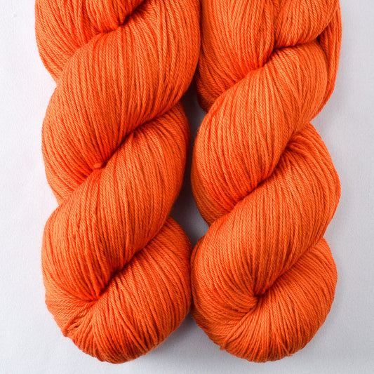 Persimmon - Miss Babs Yowza yarn
