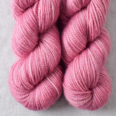 Petit Fours - Miss Babs Yummy 2-Ply Toes superwash Merino wool yarn