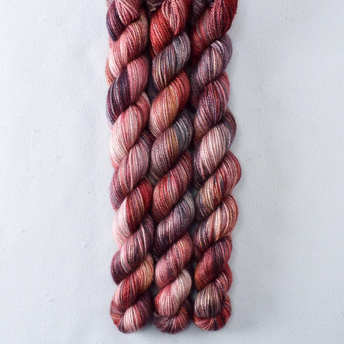 Petrified Forest - Sojourn - Babette