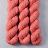 Pigs Fly - Miss Babs Yummy 2-Ply superwash Merino wool yarn