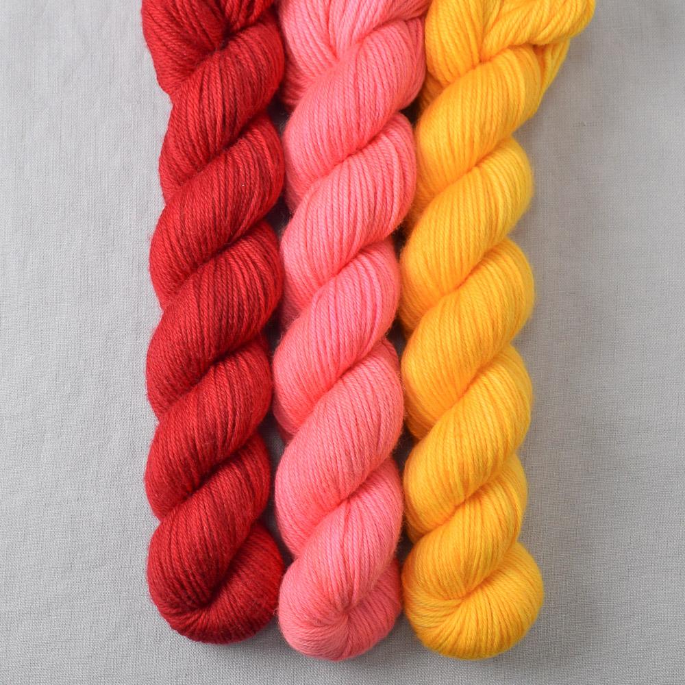 Pink Grapefruit, Scarlet Letter, Squash Blossom - Miss Babs Yowza Mini Trio