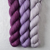 Pinot Noir Grapes, Provence, Tulipa - Miss Babs Yummy 2-Ply Trio