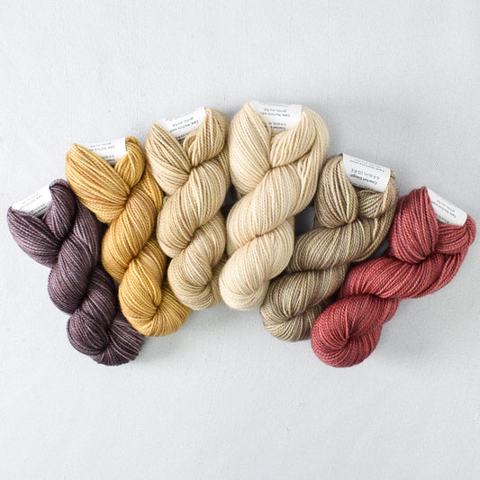 Mini Skeins of Yarn PAINTBOX gradient yarn set CAPPUCCINO