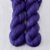 Pleiades - Miss Babs Katahdin 437 superwash BFL wool yarn