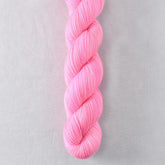 Polarization - Miss Babs Yummy 2-Ply superwash Merino wool yarn