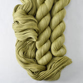 Poplar - Miss Babs Avon yarn