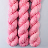 Princess Party - Miss Babs Katahdin 437 superwash BFL wool yarn