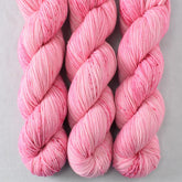 Princess Party - Miss Babs Putnam Merino wool and nylon sock yarn