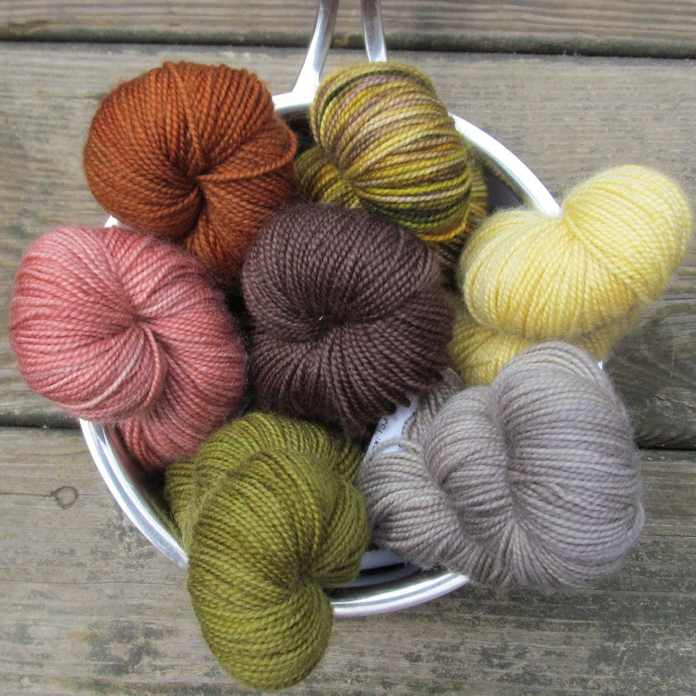 Pumpkin Patch - Polydactyl Set