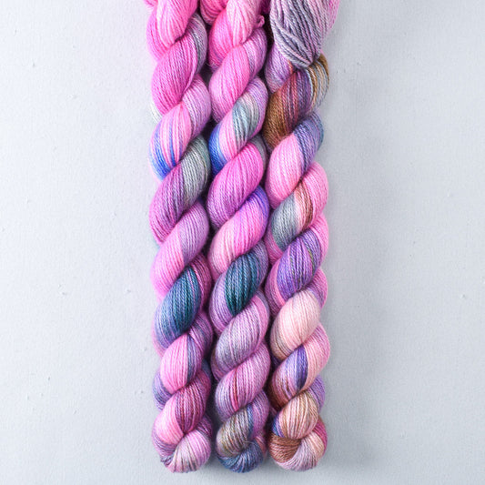 Rainbow Betta - Miss Babs Sojourn yarn