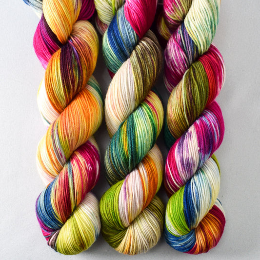 Rainbow Carwash - Miss Babs Putnam yarn