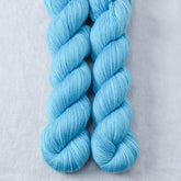 Reflection - Miss Babs Yummy 2-Ply superwash Merino wool yarn