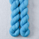 Reiteration - Miss Babs Yummy 2-Ply superwash Merino wool yarn