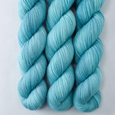 Relaxation - Miss Babs Putnam Merino wool and nylon sock yarn