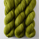 Rhizome - Miss Babs Intrepid yarn