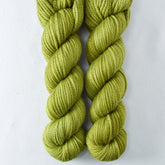 Rhizome Partial Skeins - Miss Babs K2 yarn