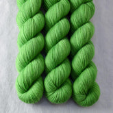 Ringneck - Miss Babs Yummy 2-Ply superwash Merino wool yarn