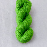 Ringneck - Miss Babs Yummy 2-Ply Toes superwash Merino wool yarn