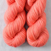 Ring the Bell - Miss Babs Yummy 2-Ply Toes superwash Merino wool yarn