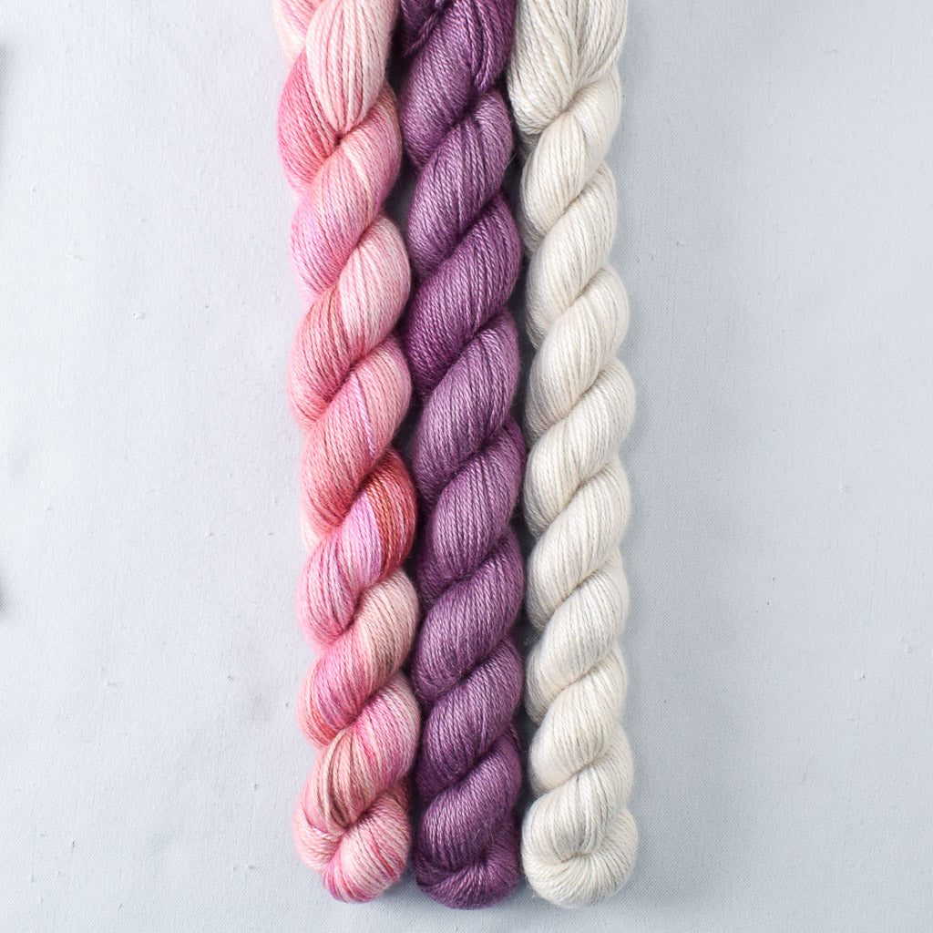 Rise and Shine, Tulipa, White Peppercorn - Miss Babs Sojourn Trio