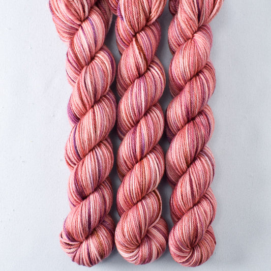 Rise and Shine - Miss Babs Yowza Mini yarn