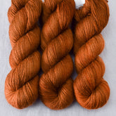 Roasted Pumpkin - Miss Babs Katahdin 437 superwash BFL wool yarn