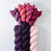 Sagrada, Impatiens, Sugar, Japanese Maple, Bearberry, Wine Country, NIght Owl Rose - Miss Babs Teranika Color Pack