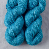 Salish - Miss Babs Yummy 2-Ply Toes superwash Merino wool yarn