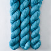 Salish - Miss Babs Yowza Mini superwash Merino wool yarn