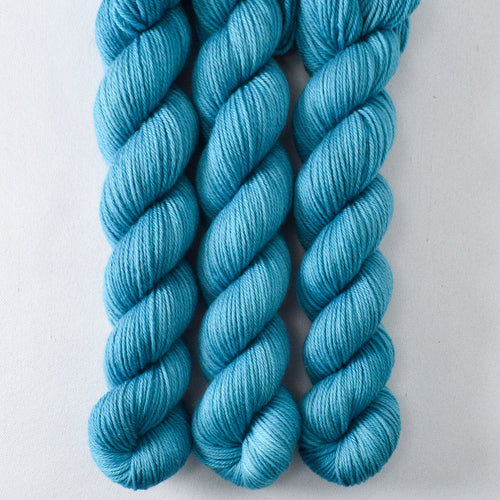 Salish - Miss Babs Yowza Mini superwash Merino wool yarn