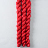 Scarlet Letter Partial Skeins - Miss Babs Sojourn yarn